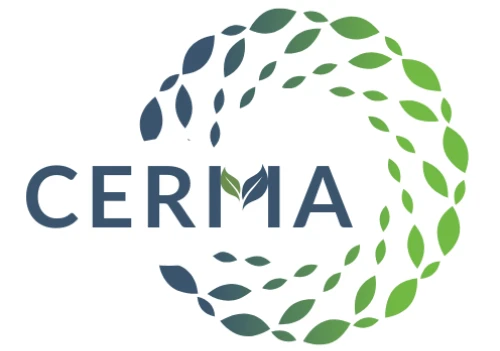 website logo